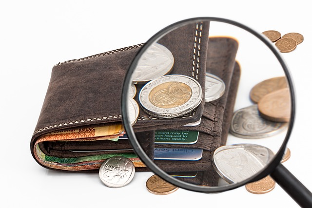 wallet, magnifying glass