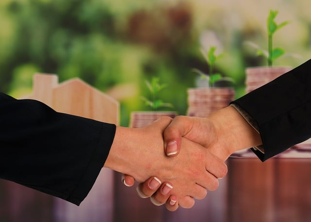 handshake, agreement, gesture