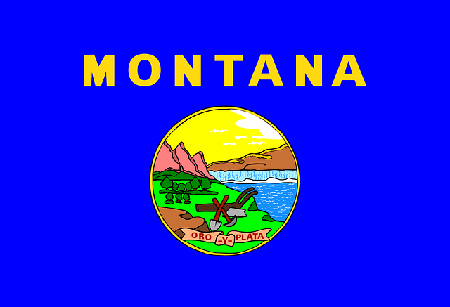montana, state flag, blue, business loans in montana, new location, entire state